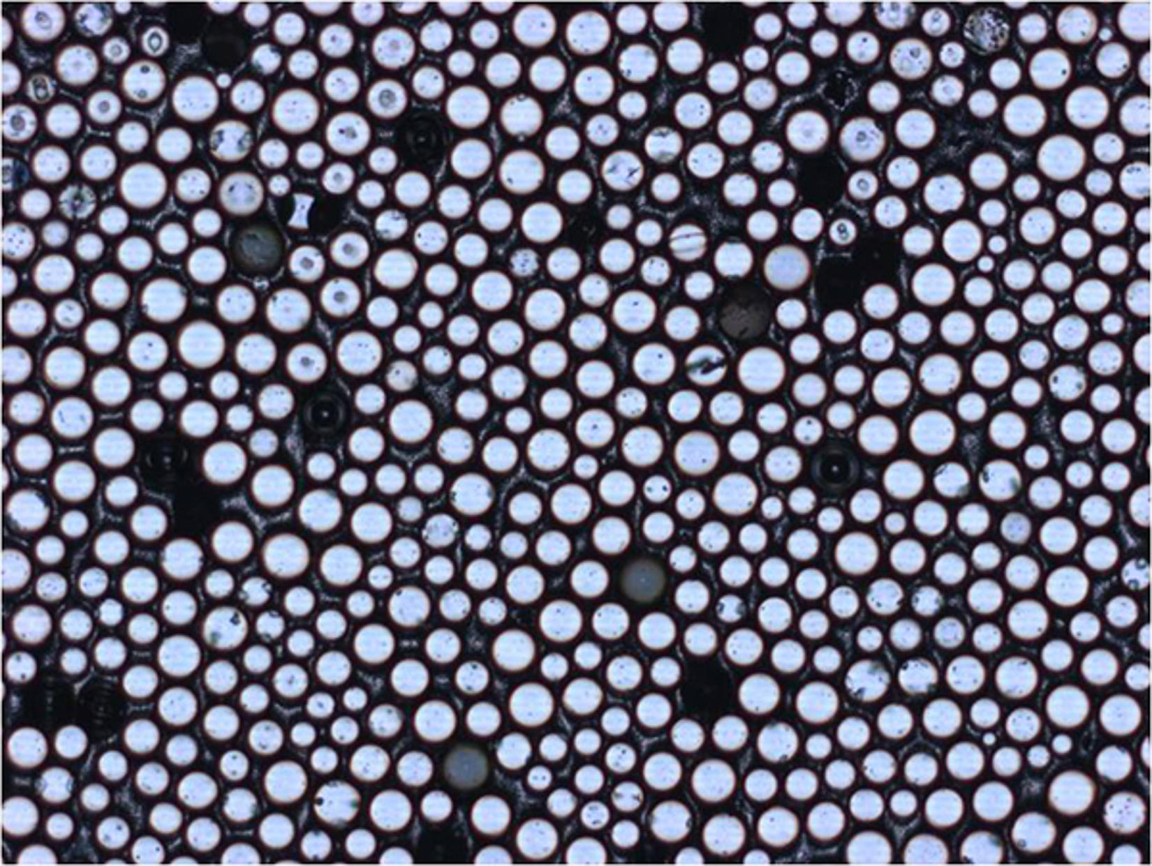 Technology ORAFOL Americas